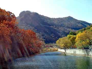 澳门二四六天天彩图库，又见一帘幽梦续集